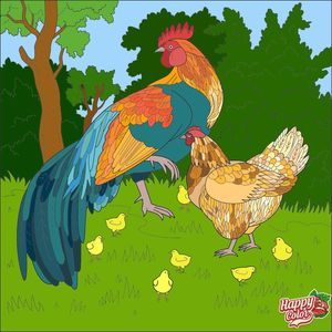 Meet your Posher, Rhonda